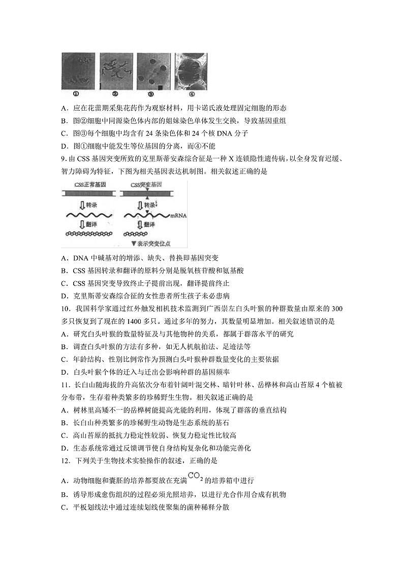 2024~2025学年江苏省南通市海安高级中学高三(上)期中生物试卷(含答案)第3页