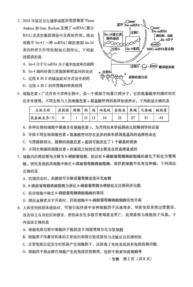 河北省部分学校2024-2025学年高三上学期11月阶段调研检测二生物试卷第2页