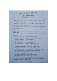湖北省新高考协作体2024-2025学年高三上学期11月期中生物试题
