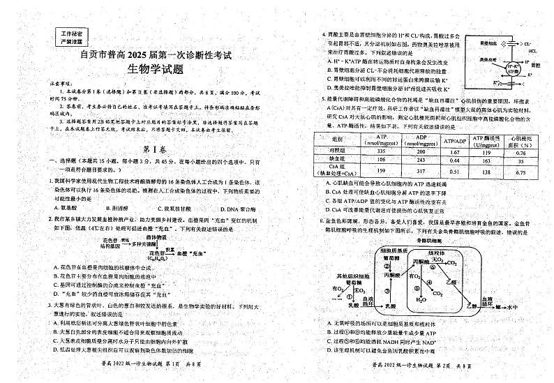 四川省自贡市普高2025届高三上学期高考第一次诊断性考试生物试题第1页