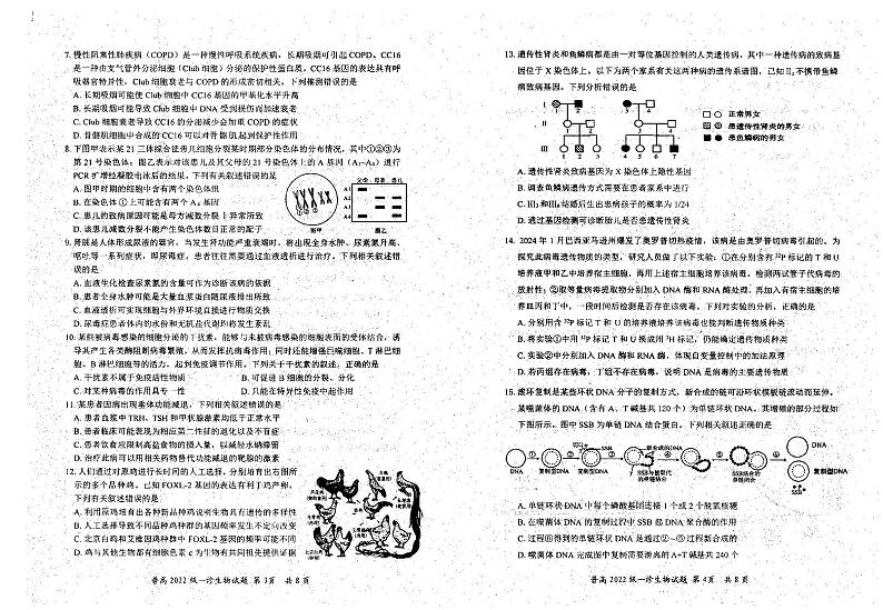 四川省自贡市普高2025届高三上学期高考第一次诊断性考试生物试题第2页