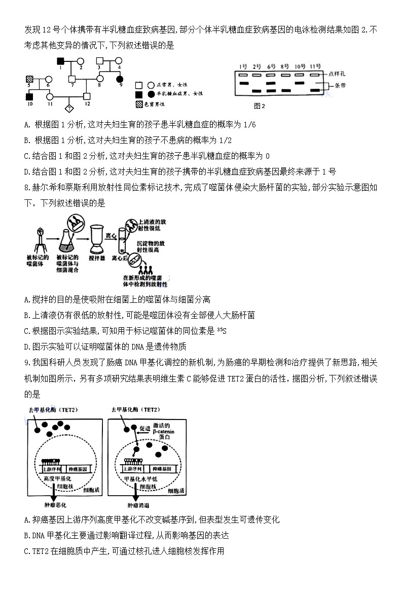 2025湖北省华大新高考联盟高三上学期11月期中联考试题生物含解析第3页