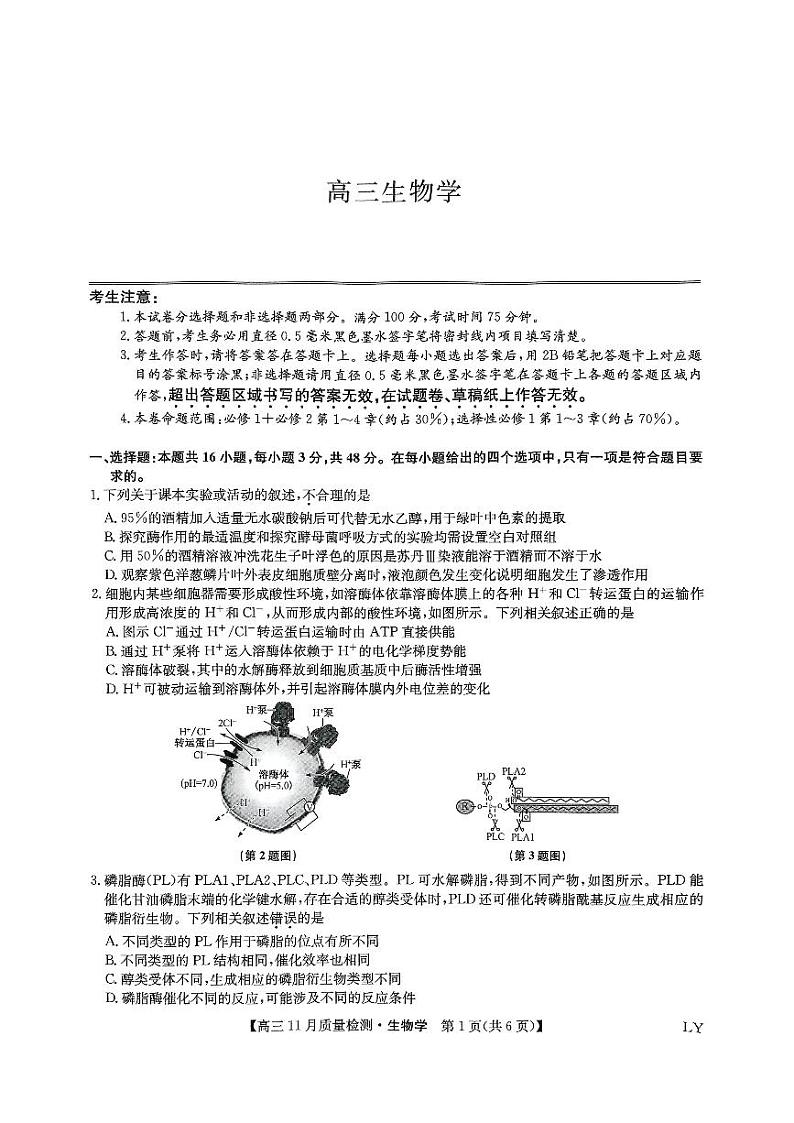2025九师联盟高三上学期教学质量监测11月联考试题生物PDF版含解析第1页