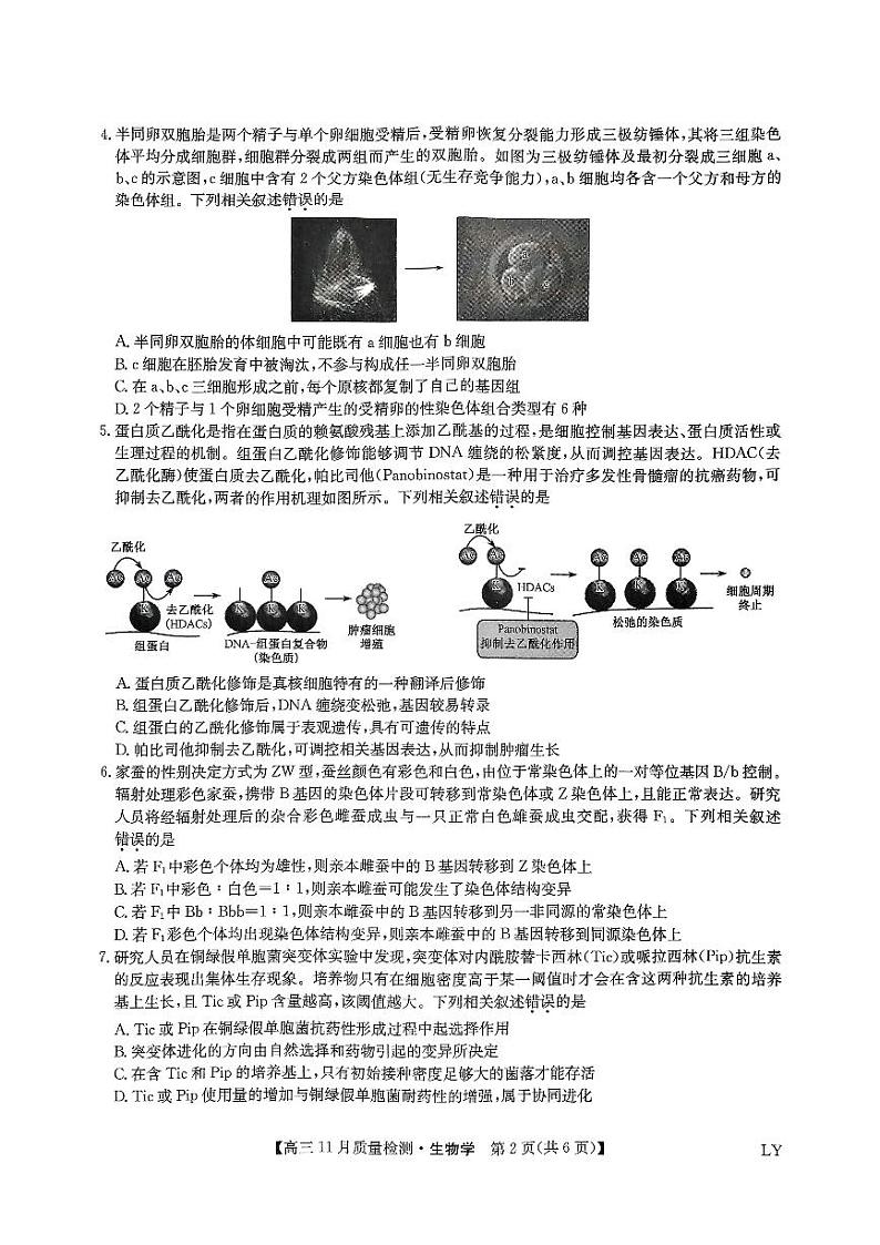 2025九师联盟高三上学期教学质量监测11月联考试题生物PDF版含解析第2页