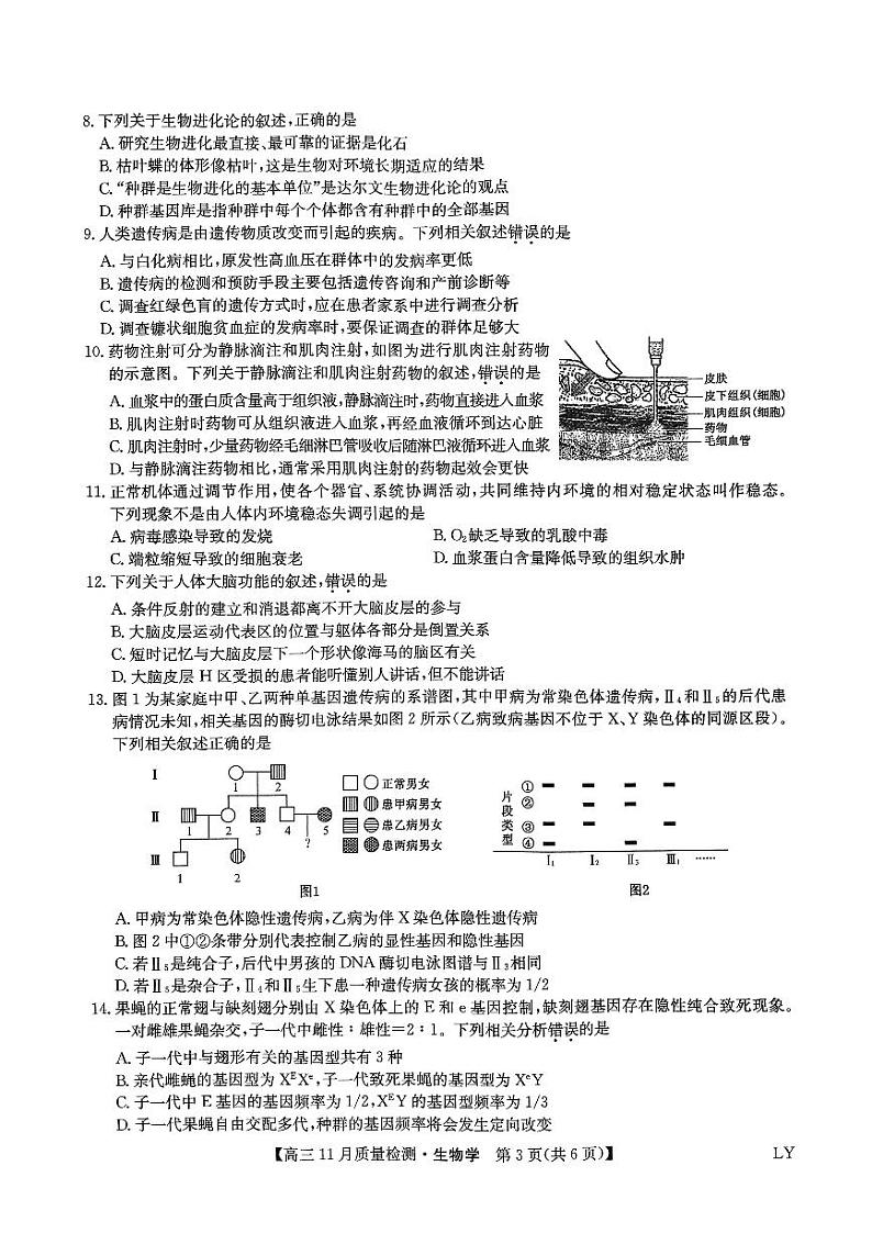 2025九师联盟高三上学期教学质量监测11月联考试题生物PDF版含解析第3页