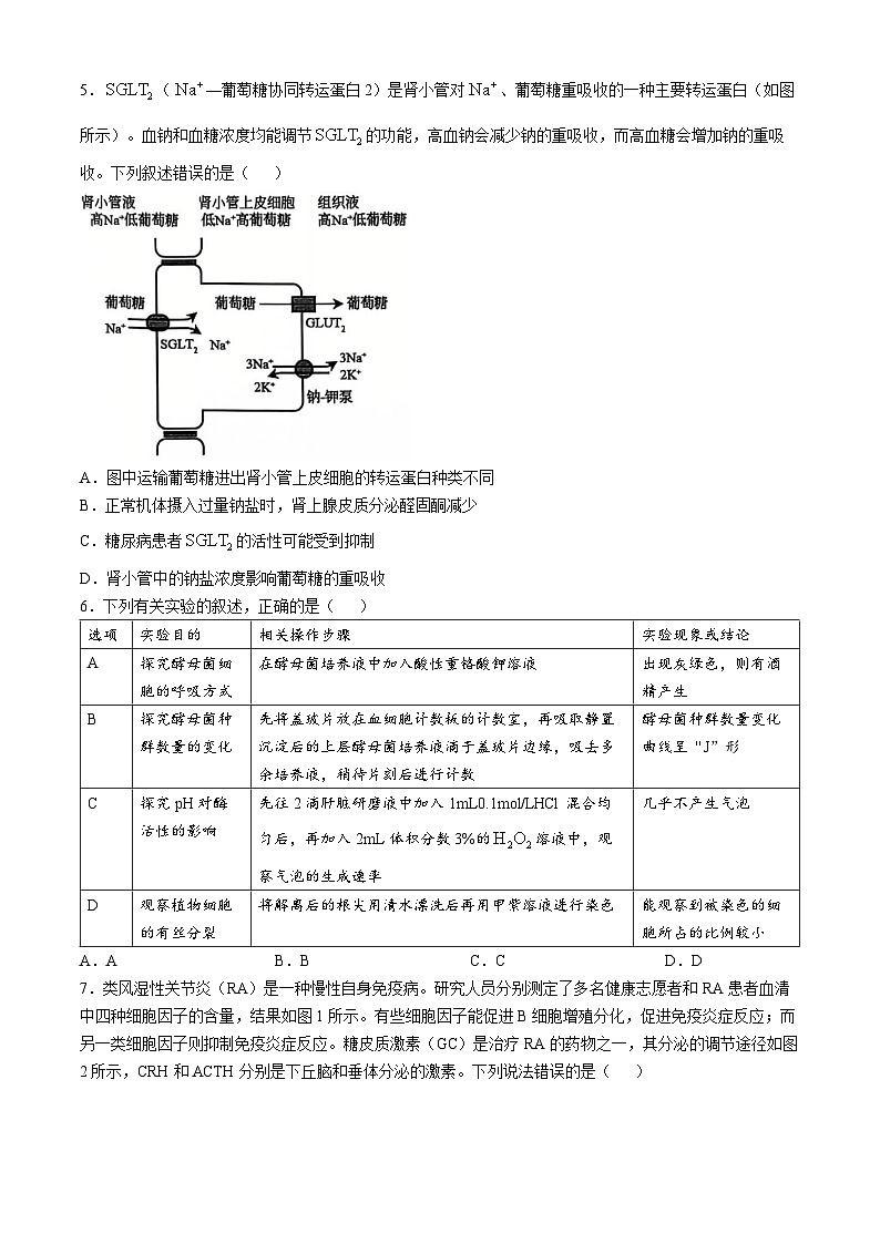 辽宁省大连市滨城高中联盟2024-2025学年高三上学期中考试生物试卷第2页