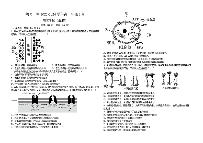 鹤岗市第一中学2023-2038学年高一期末生物第1页