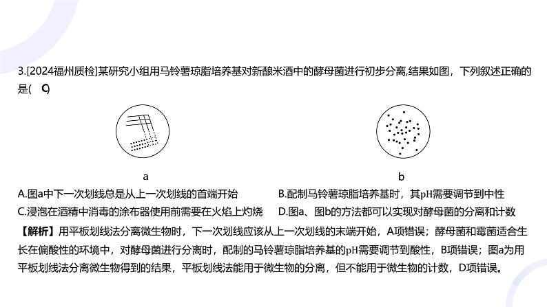 2025届高考生物基础练习专题十一 生物技术与工程课件第5页