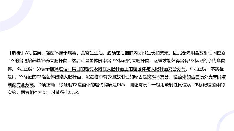 2025届高考生物基础练习专题六 遗传的分子基础课件第7页