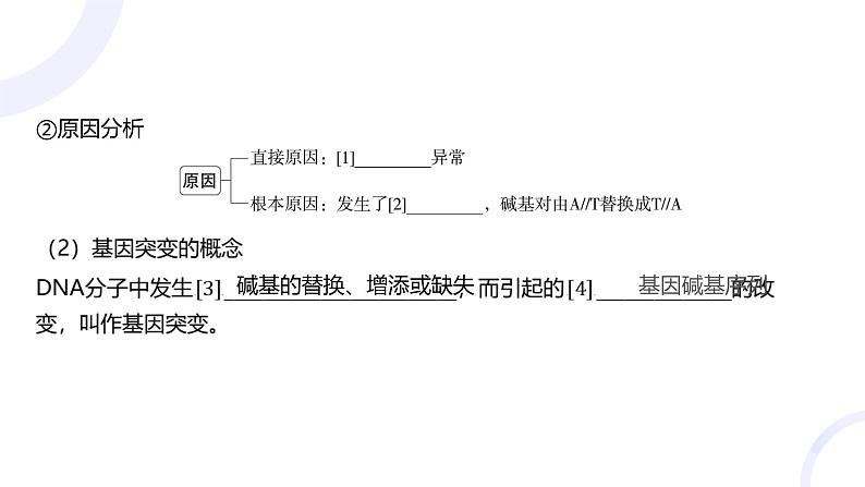 2025届高考生物基础练习第七章 第1节 生物的变异课件第5页