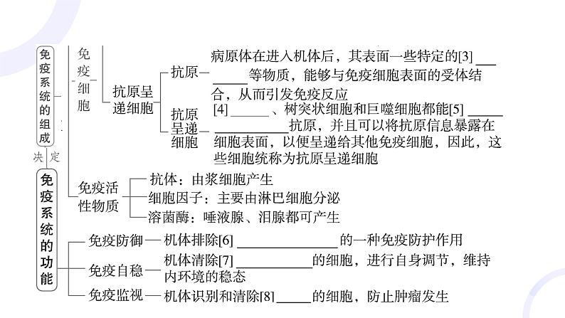 2025届高考生物基础练习第八章 第4节 免疫调节课件第5页
