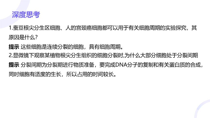 2025屆高考生物基礎(chǔ)練習(xí)第四章 第1節(jié) 細(xì)胞的增殖課件第8頁