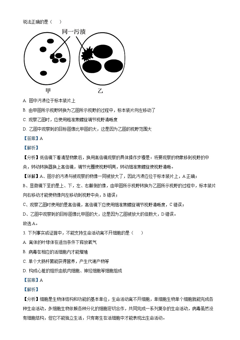 河北省沧衡名校联盟2024-2025学年高一上学期11月期中考试生物试题(解析版)-A4第2页