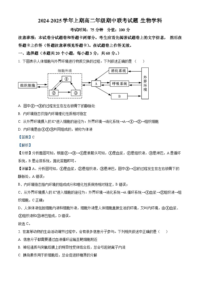 河南省郑州市十校联考2024-2025学年高二上学期11月期中生物试题 含解析第1页