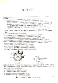 2024年九师联盟高三上学期11月 生物试题及答案