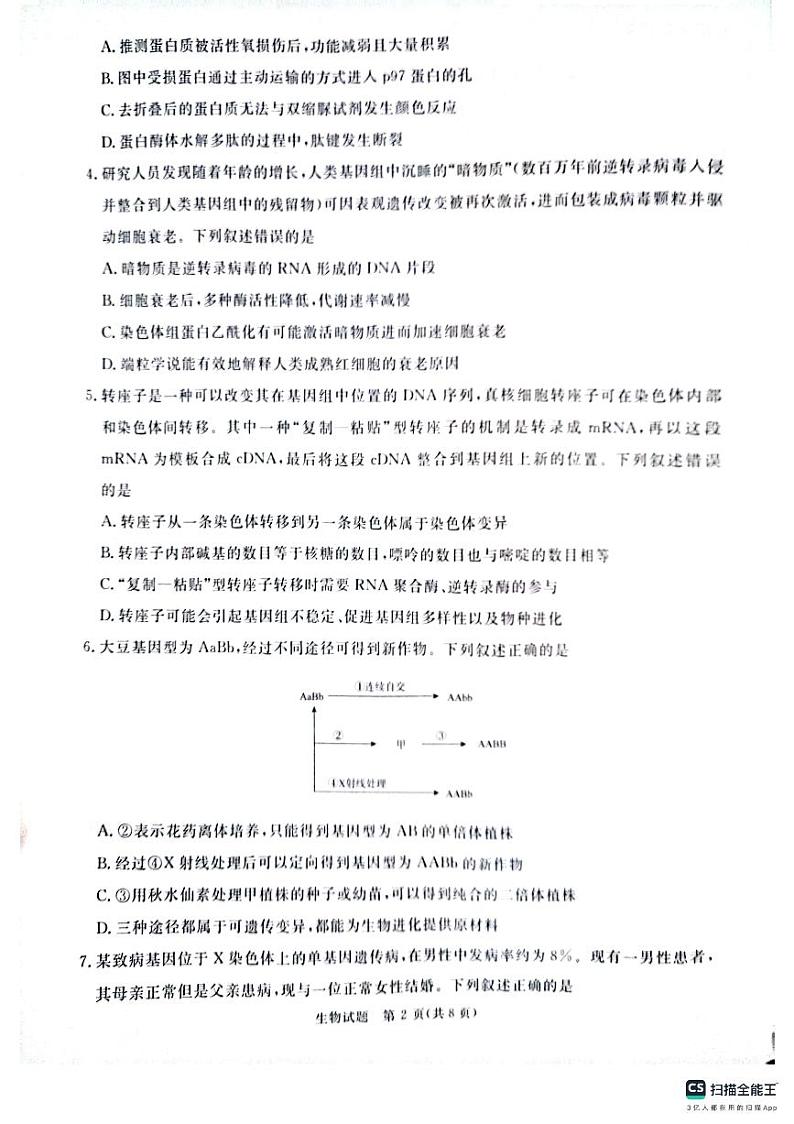 河南省周口市2024-2025学年高三上学期期中考试生物试题第2页