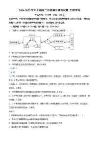 河南省郑州市十校联考2024-2025学年高二上学期11月期中考试生物试题（Word版附解析）