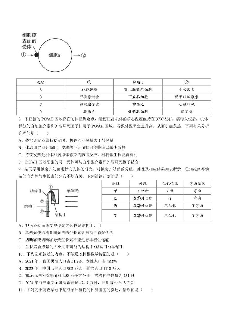 广东省部分名校2024~2025学年高二(上)期中生物试卷(含解析)第3页
