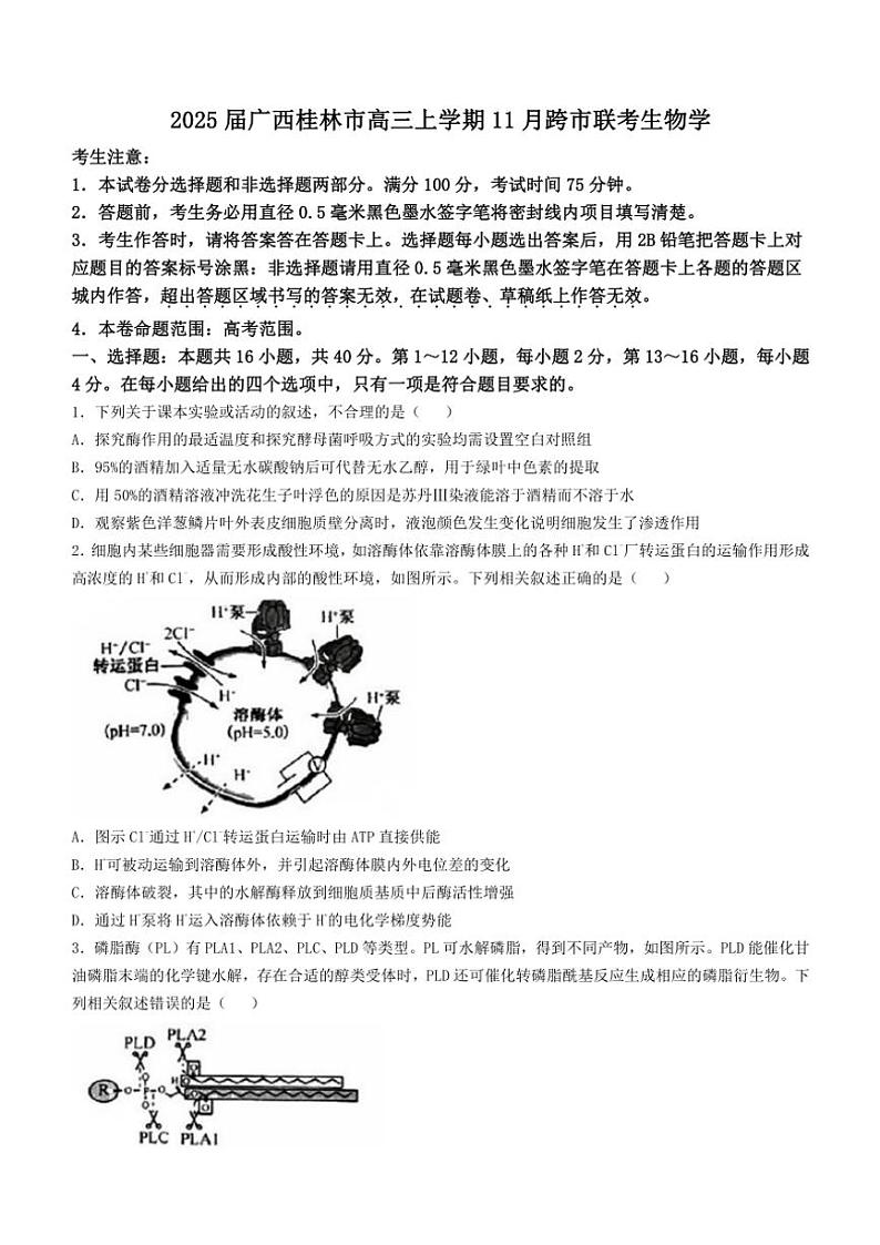 2025届广西桂林市高三(上)11月跨市联考生物试卷(含答案)第1页