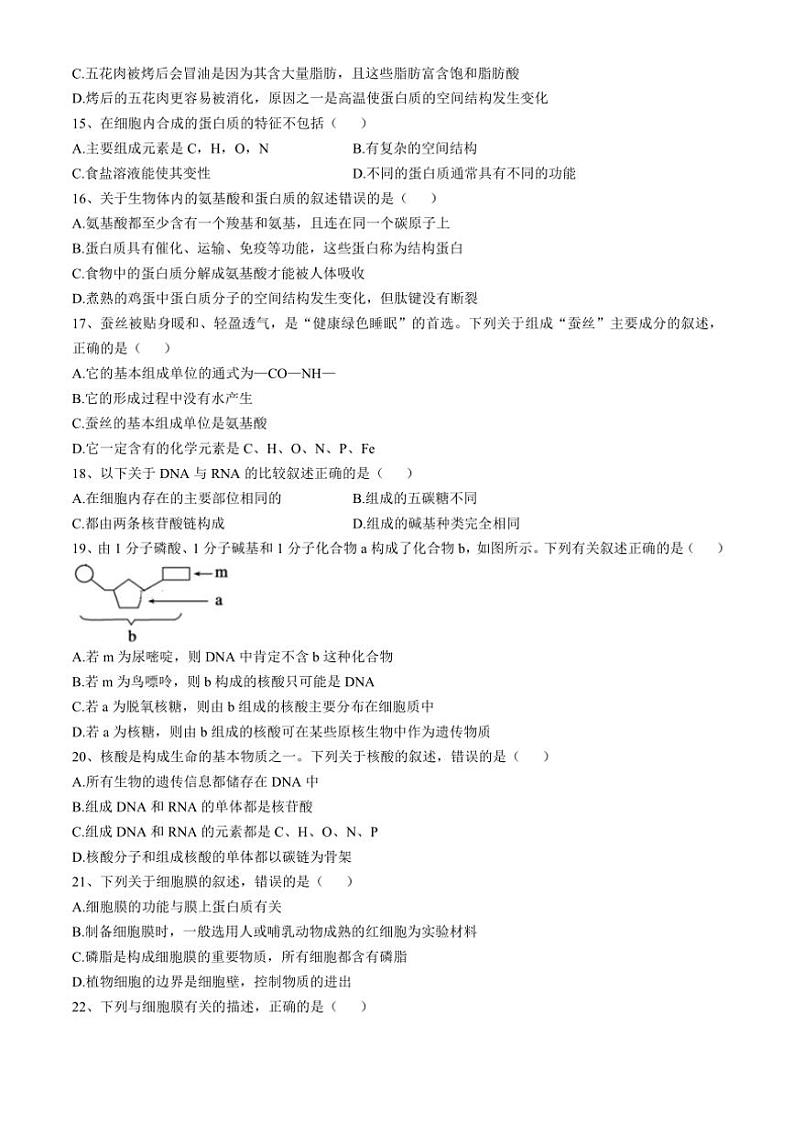 黑龙江省大庆市石油高级中学2024~2025学年高一(上)期中生物试卷(含答案)第3页