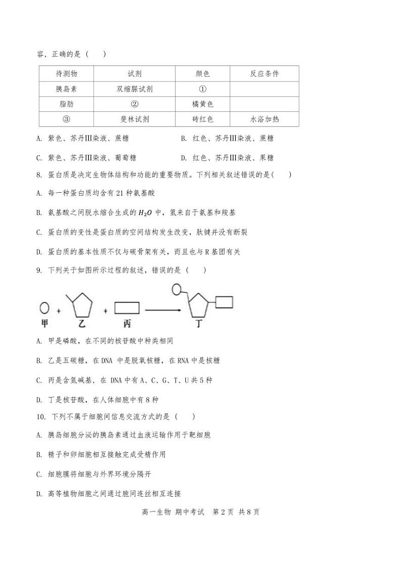 2024年天津市第十四中学高一上期中生物试卷(含答案)第2页