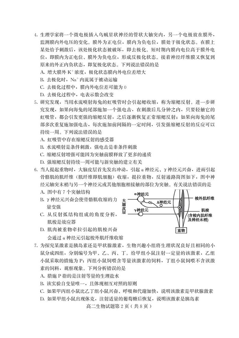 山东省潍坊安丘等四区县2024~2025学年高二(上)期中生物试卷(含答案)第2页