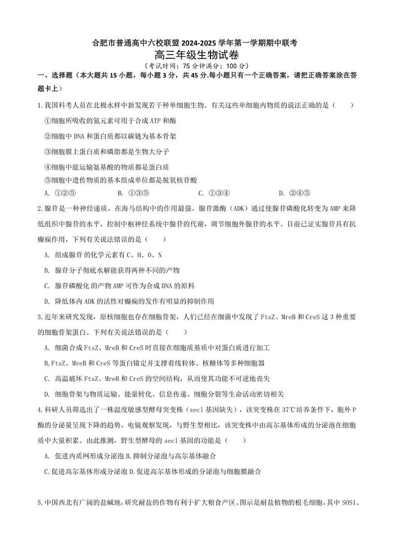 安徽省合肥市普通高中六校联盟2025届高三(上)期中联考试卷生物(含答案)第1页