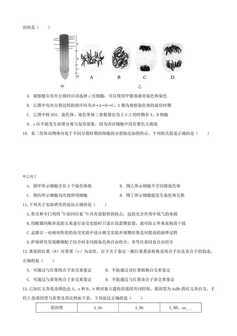 安徽省合肥市普通高中六校联盟2025届高三(上)期中联考试卷生物(含答案)第3页