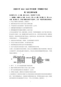廣東省汕頭市潮陽區(qū)汕頭市潮陽區(qū)河溪中學2024～2025學年高二(上)期中生物試卷(含答案)