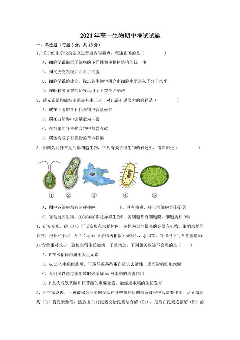 湖南省岳阳市汨罗市汨罗市第一中学2024~2025学年高一(上)期中生物试卷(含答案)第1页