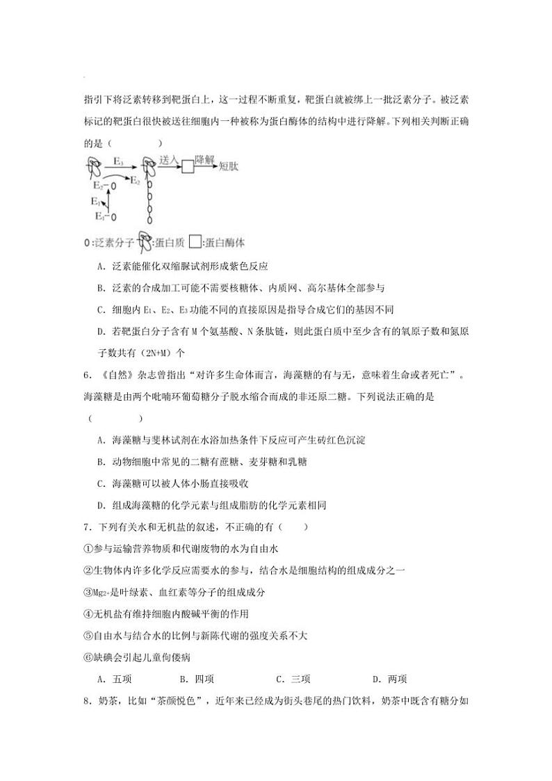湖南省岳阳市汨罗市汨罗市第一中学2024~2025学年高一(上)期中生物试卷(含答案)第2页