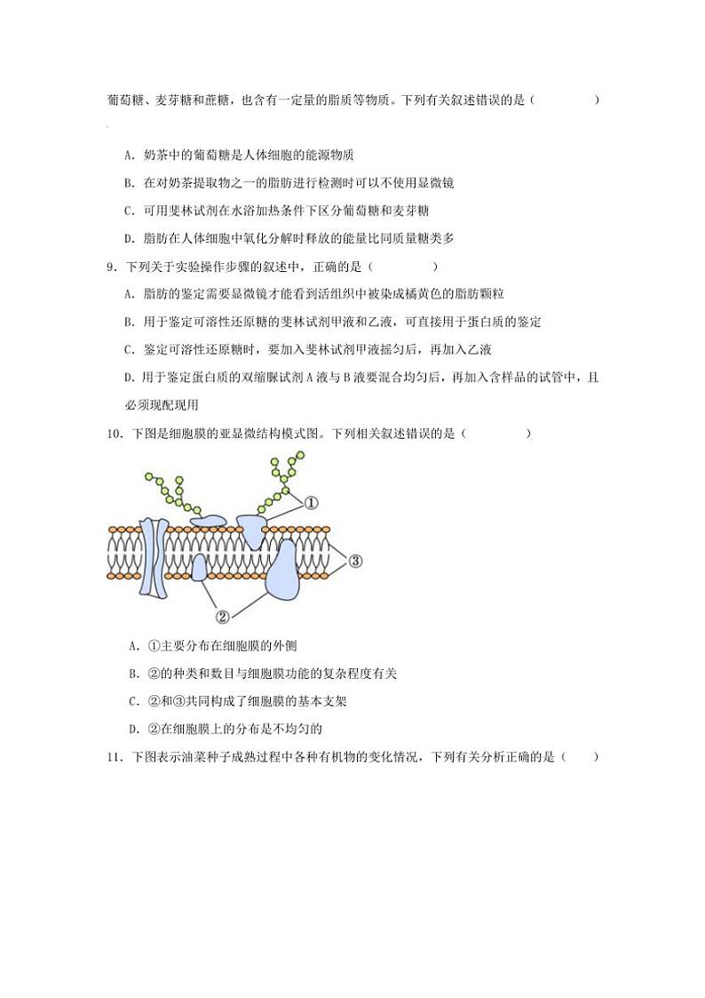 湖南省岳阳市汨罗市汨罗市第一中学2024~2025学年高一(上)期中生物试卷(含答案)第3页