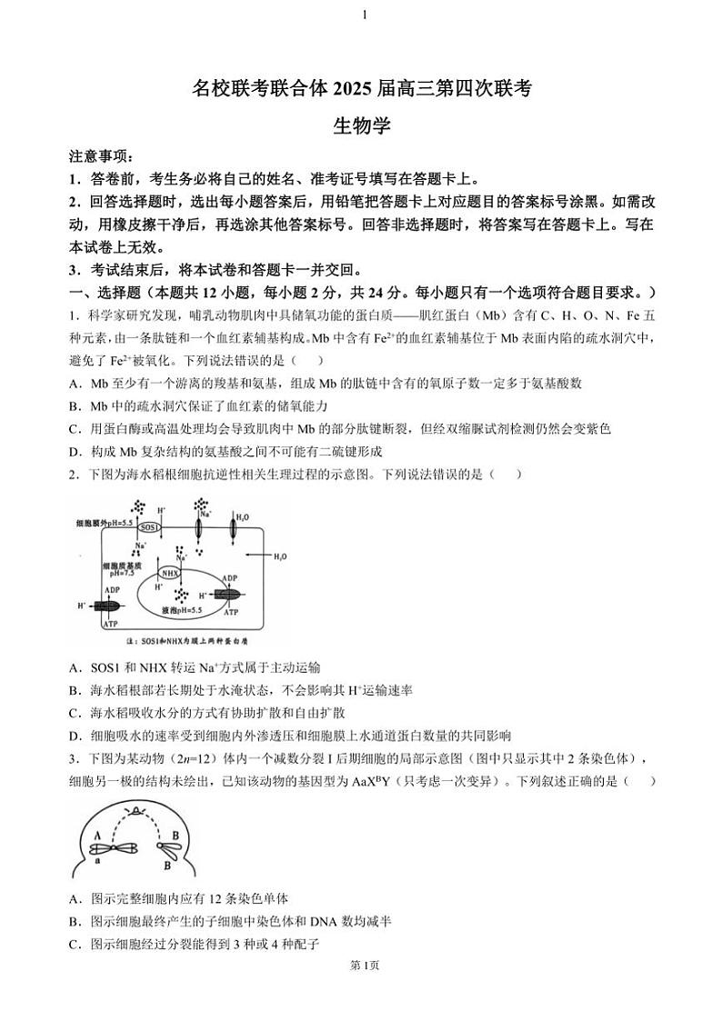湖南省名校联考联合体2024~2025学年高三(上)第四次联考生物试卷(含答案)第1页