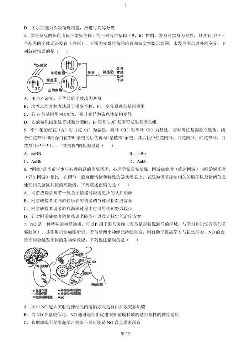 湖南省名校联考联合体2024~2025学年高三(上)第四次联考生物试卷(含答案)第2页