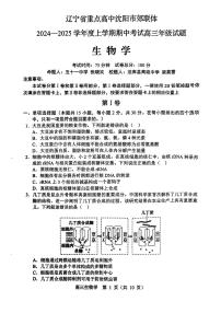 2025届辽宁沈阳郊联体高三上学期11月期中联考生物试题+答案