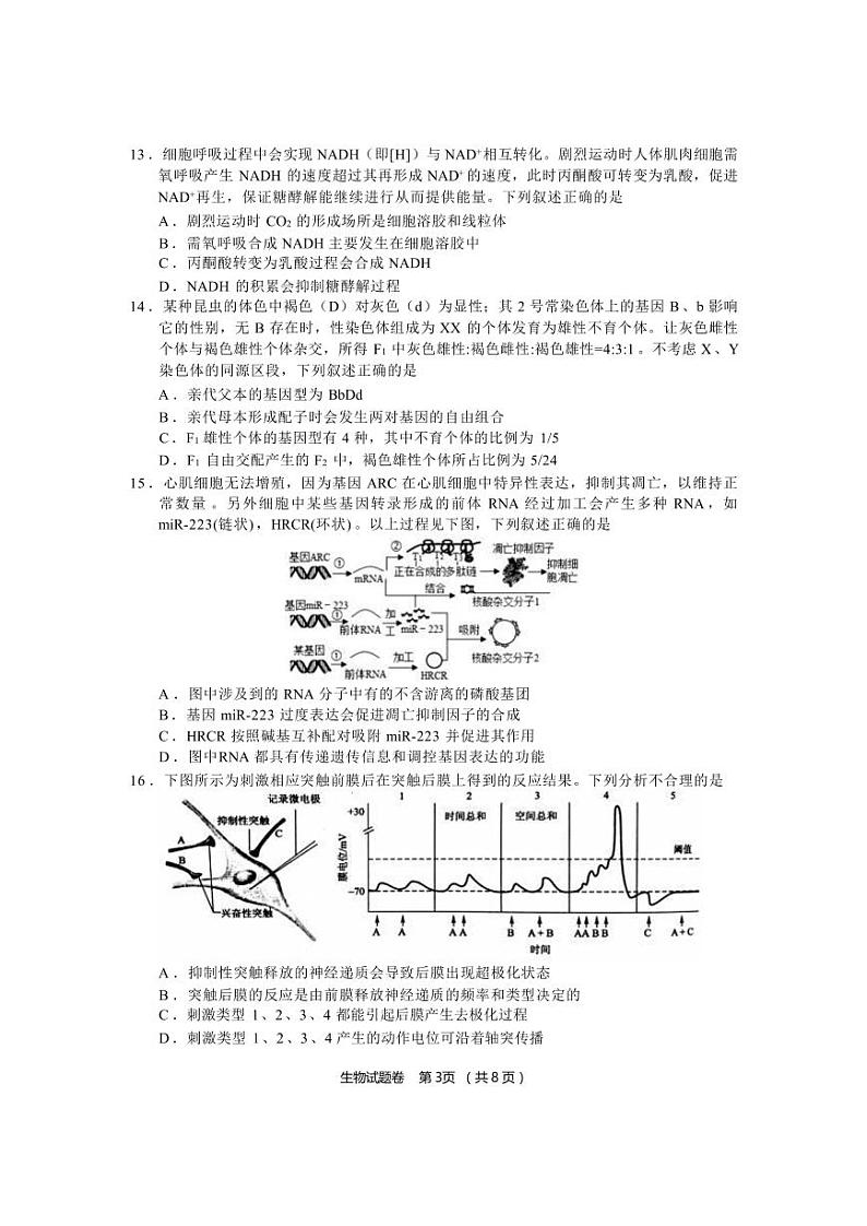 生物第3页