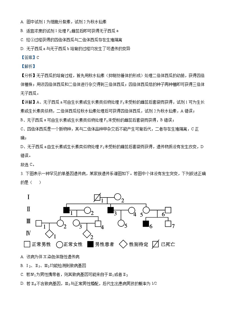 江苏省南通市如皋十四校联考2024-2025学年高三上学期11月期中生物试题含解析第2页
