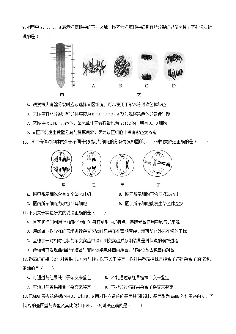 安徽省合肥市普通高中六校联盟2024-2025学年高三上学期期中联考生物试题第3页