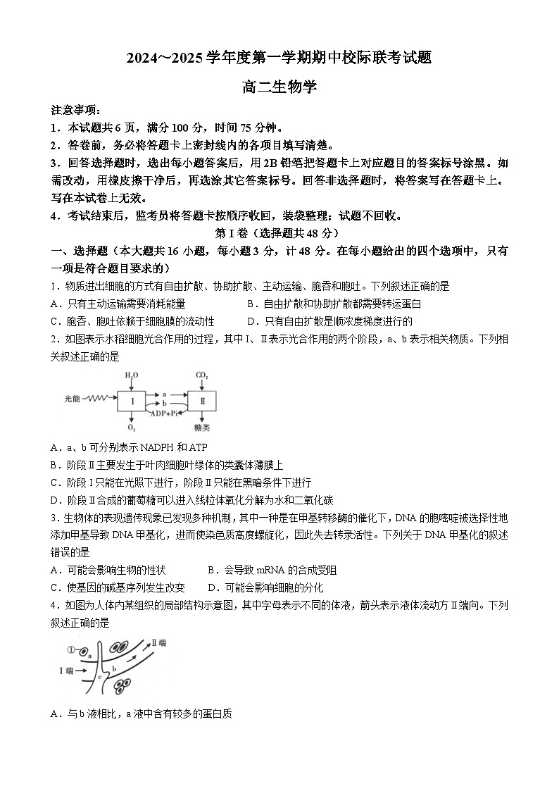 2025汉中高二上学期11月期中校际联考试题生物含答案第1页
