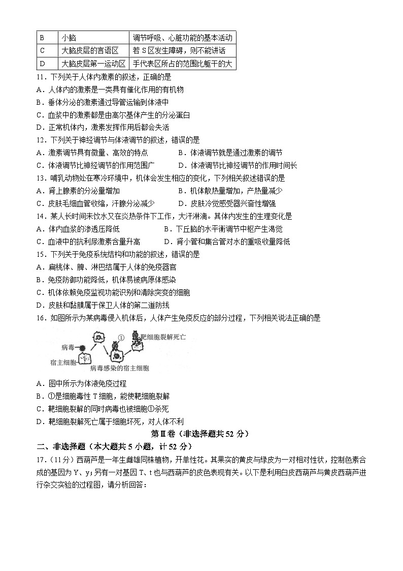 2025汉中高二上学期11月期中校际联考试题生物含答案第3页