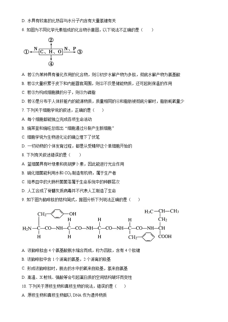 广西壮族自治区钦州市钦南区广西中马钦州产业园区西交大阳光高级中学2024-2025学年高一上学期11月期中生物试题(原卷版)-A4第2页
