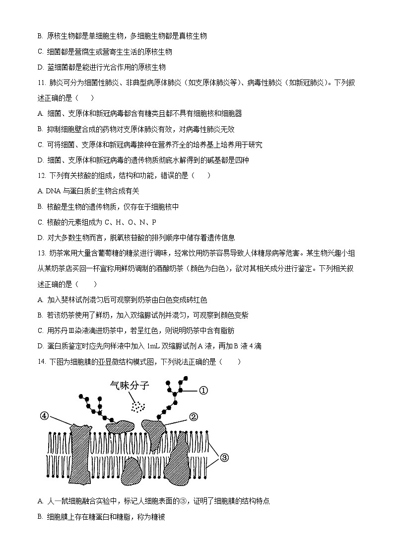 广西壮族自治区钦州市钦南区广西中马钦州产业园区西交大阳光高级中学2024-2025学年高一上学期11月期中生物试题(原卷版)-A4第3页