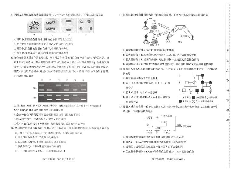 太原市2024-2025年上学期期中高三生物学试卷第2页