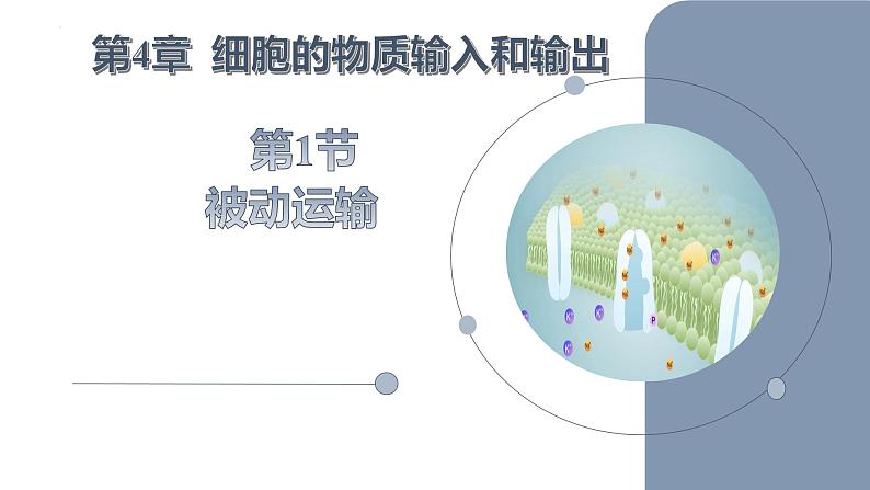 人教版2019必修一高中生物《分子与细胞》4.1被动运输新课课件第1页