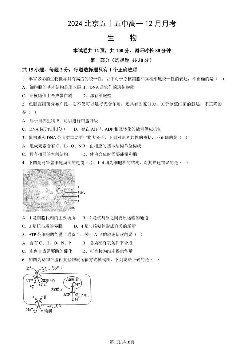 2024北京五十五中高一(上)12月月考生物试卷第1页