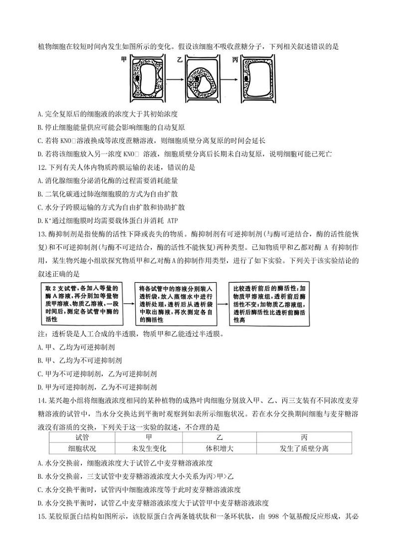 2024~2025学年广东省佛山市H7联盟高一(上)12月联考生物试卷(含答案)第3页