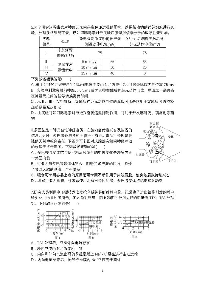 2024~2025学年福建省福州市第一中学高二(上)第一学段模块考试(期中)生物试卷(含答案)第2页