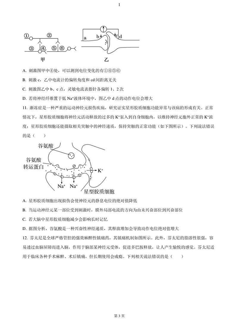 2024~2025学年福建省福州市九联盟高二(上)期中联考试卷生物(含答案)第3页