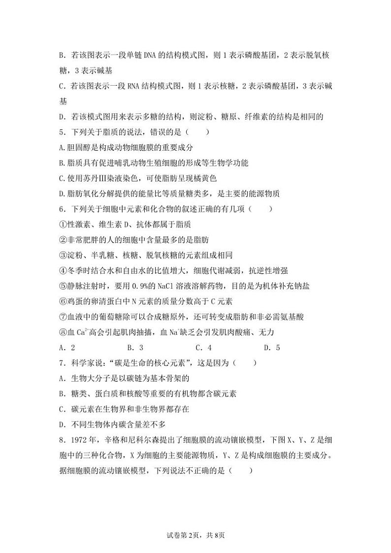 2024~2025学年海南省屯昌县屯昌中学高一(上)期中生物试卷(含答案)第2页