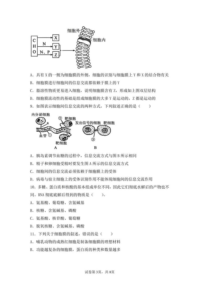 2024~2025学年海南省屯昌县屯昌中学高一(上)期中生物试卷(含答案)第3页